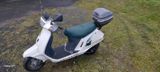 Peugeot SV Junior - PEUGEOT ROLLER SV