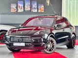 Porsche Cayenne Platinum Edition Pano ACC 360°Luft 21Zol