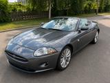 Jaguar XK 4.2L V8 Cabriolet - Leder&Navi&Shz&PDC