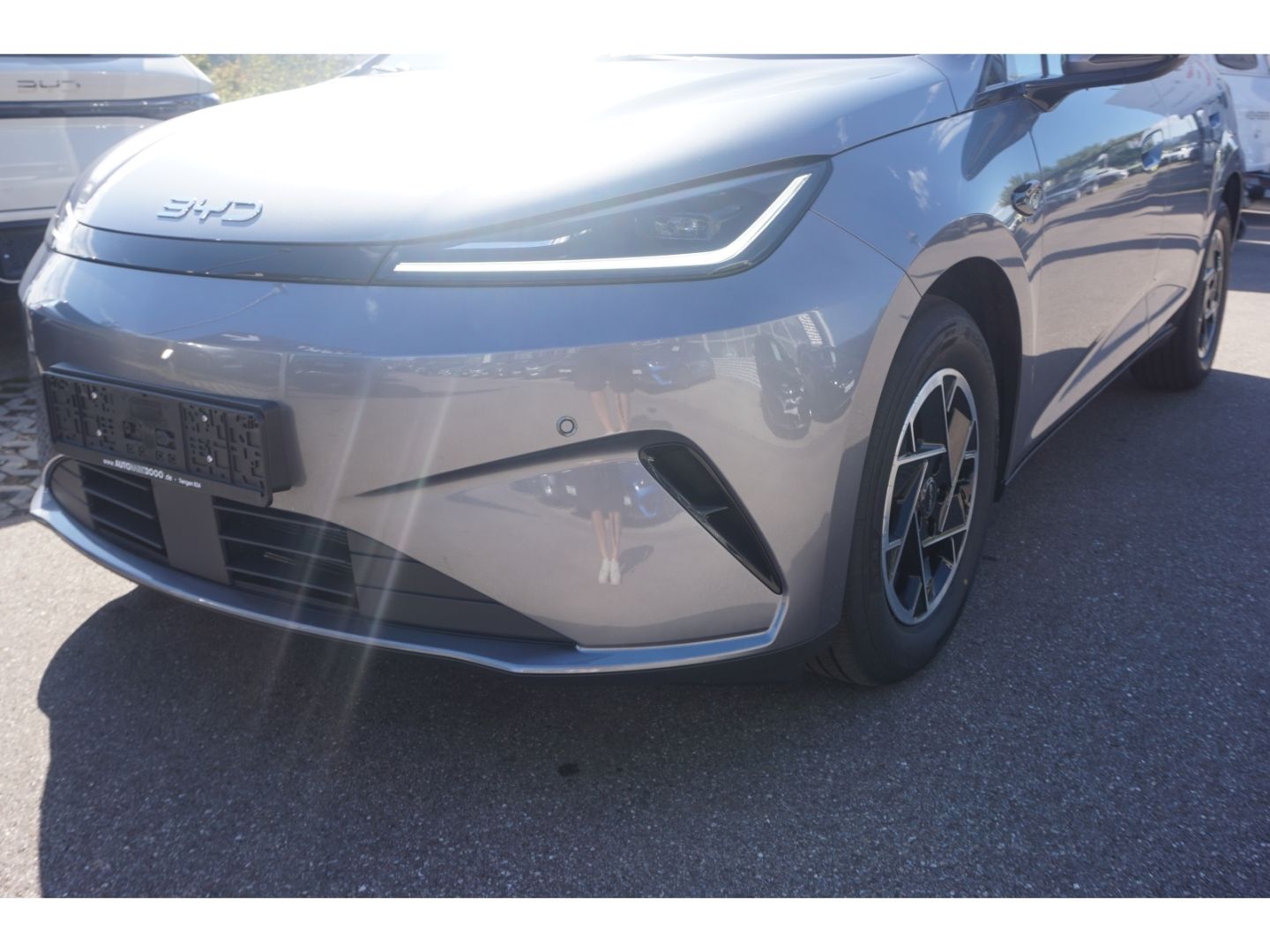 BYD DOLPHIN