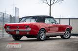 Ford Mustang T5 Cabriolet  289 4.7l V8 - Kult Cars - Ford Mustang Gebrauchtwagen in Augsburg