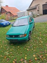 Volkswagen VW Polo 6N1 1.4 60PS  TÜV 09/26 Winterauto... - Volkswagen Polo Kleinwagen Automatik 6n2 mit Benzin-Antrieb