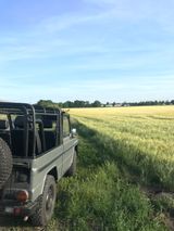 Mercedes-Benz G 250 Wolf GD250 Bundeswehr  - Mercedes-Benz G 250: Gd