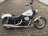 Harley-Davidson FXR - HARLEY-DAVIDSON FXR