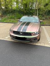 Ford Mustang - Ford Mustang Gebrauchtwagen in Düsseldorf