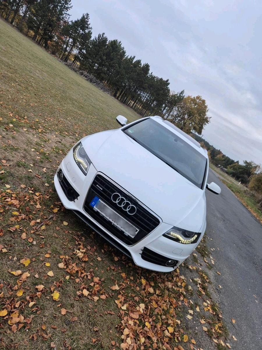 Audi Quattro 2011 — вигляд ззаду