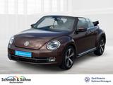 Volkswagen Beetle Cabriolet Allstar 1.4 TSI DSG LEDER, XEN, - Volkswagen Beetle ALLSTAR mit Benzin-Antrieb
