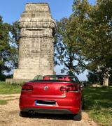 Volkswagen Golf 1.4 TSI 92kW DSG BMT Exclusive Cabriole... - : Rot, Cabrio