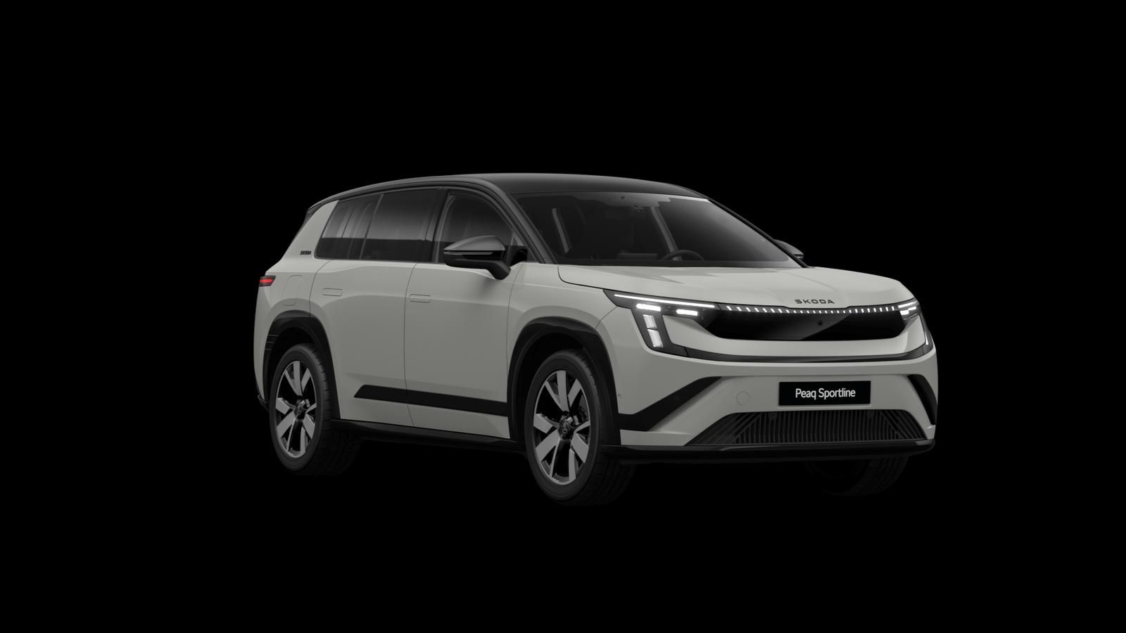 Skoda Andere - Bild 7