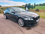 Jaguar XJ Portfolio 3.0 V6 Kompressor AWD Portfolio - Jaguar Gebrauchtwagen