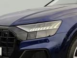 Audi Q8 SUV 50 TDI quattro S line*Matrix*HUD*B&O*AHK* - Audi Q8 in Wiesbaden