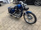 Harley-Davidson Sportster 1200c Custom  - HARLEY-DAVIDSON 2008 SPORTSTER 1200