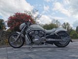 Harley-Davidson VRod VRSCAW Einzelstück  - Angebote entsprechen deinen Suchkriterien