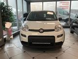 Fiat Panda 1.0GSE Hybrid - Fiat Panda in Ludwigshafen