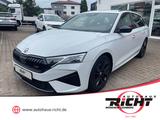 Skoda Octavia 2.0 TSI RS 5J Garantie Kamera Totwinkel 