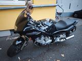 Yamaha Division XJ 900 S - Angebote