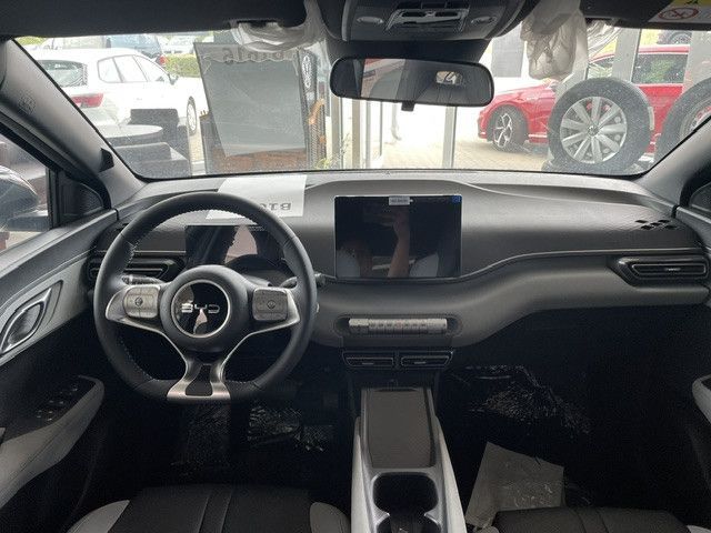 BYD DOLPHIN SURF
