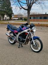 Suzuki Gs 500 E - Angebote