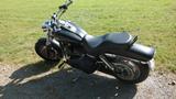 Harley-Davidson Dyna FatBob FXDF - Angebote