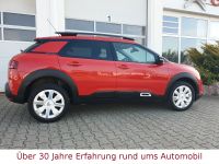 C4 Cactus Shine Pure Tech 110 C4 Cactus Shine Pure Tech 110