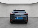 Lexus UX 250h F-Sport Design - Lexus UX 250h Gebrauchtwagen
