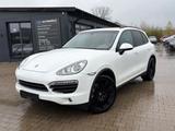 Porsche Cayenne S Diesel - PANO / STANDHZG. / 18-WEGE - Porsche Cayenne in Hamm