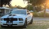 Ford Mustang - Ford aus 2005: Coupe