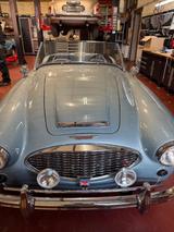 Austin Healey BN4 Vollrestauration - Austin Healey: Bn4
