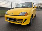 Fiat Seicento 1.1 Sporting - Fiat Seicento: Kleinwagen