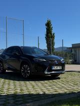 Lexus UX 250h Style Edition Style Edition - Lexus UX Gebrauchtwagen