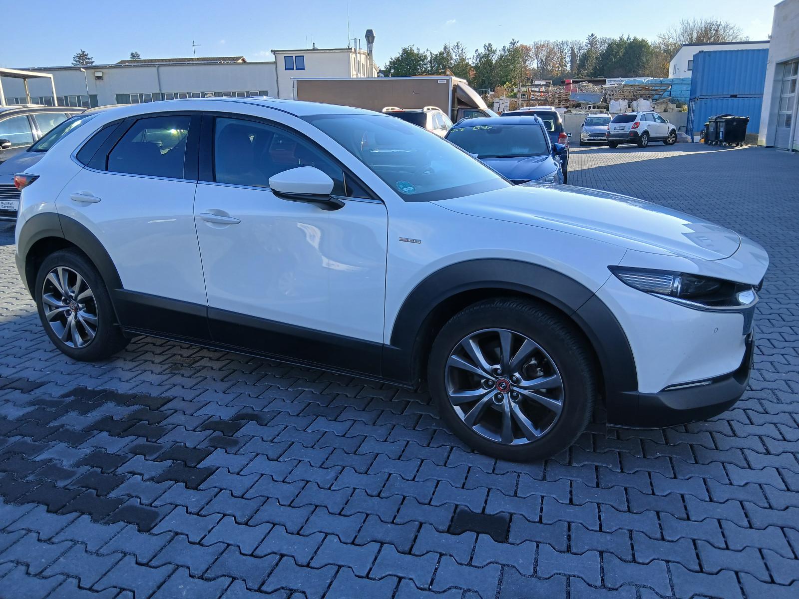 Mazda CX-30 100th mit AHK neu vom Kfz Meisterbetrieb