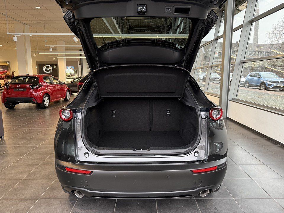 Mazda CX-30 - Bild 6