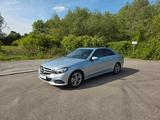 Mercedes-Benz E 350 BlueTEC V6|Schiebedach|Top Gepflegt - Mercedes-Benz E 350 Gebrauchtwagen in Stuttgart