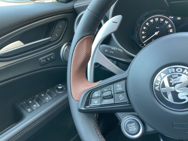 Fahrzeugabbildung Alfa Romeo Stelvio 2.0 Turbo 16V Intensa Q4 Autom. Panorama