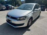 Volkswagen Polo 1.4 TDI 5p. Fresh - Volkswagen Polo Fresh mit Diesel-Antrieb