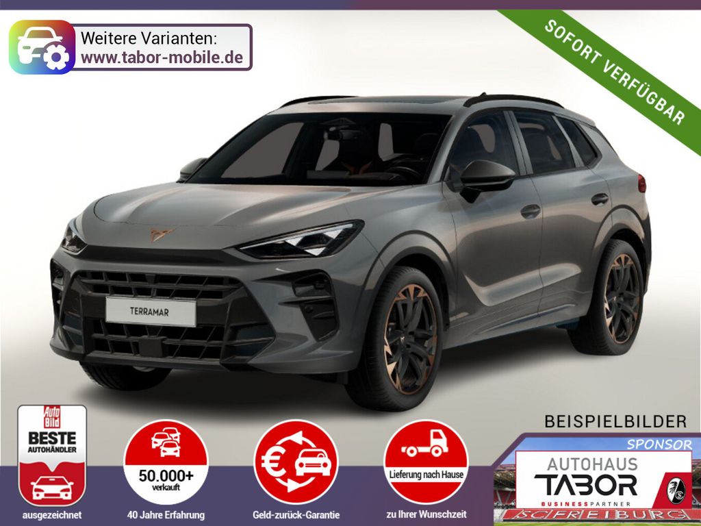 Image of Cupra Terramar