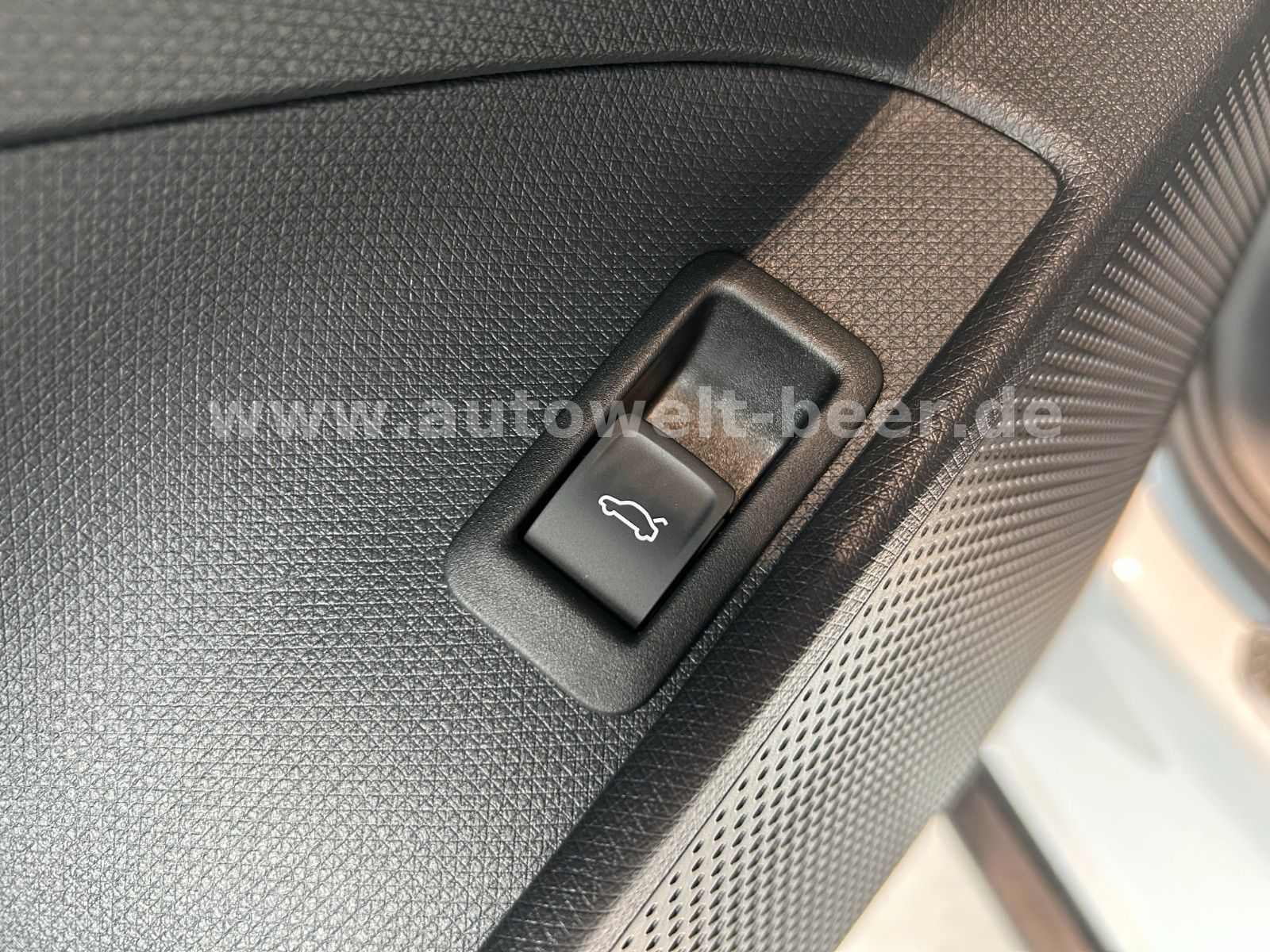 Cupra Tavascan - Bild 15