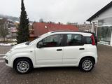 Fiat Panda My Panda - Fiat Panda Gebrauchtwagen
