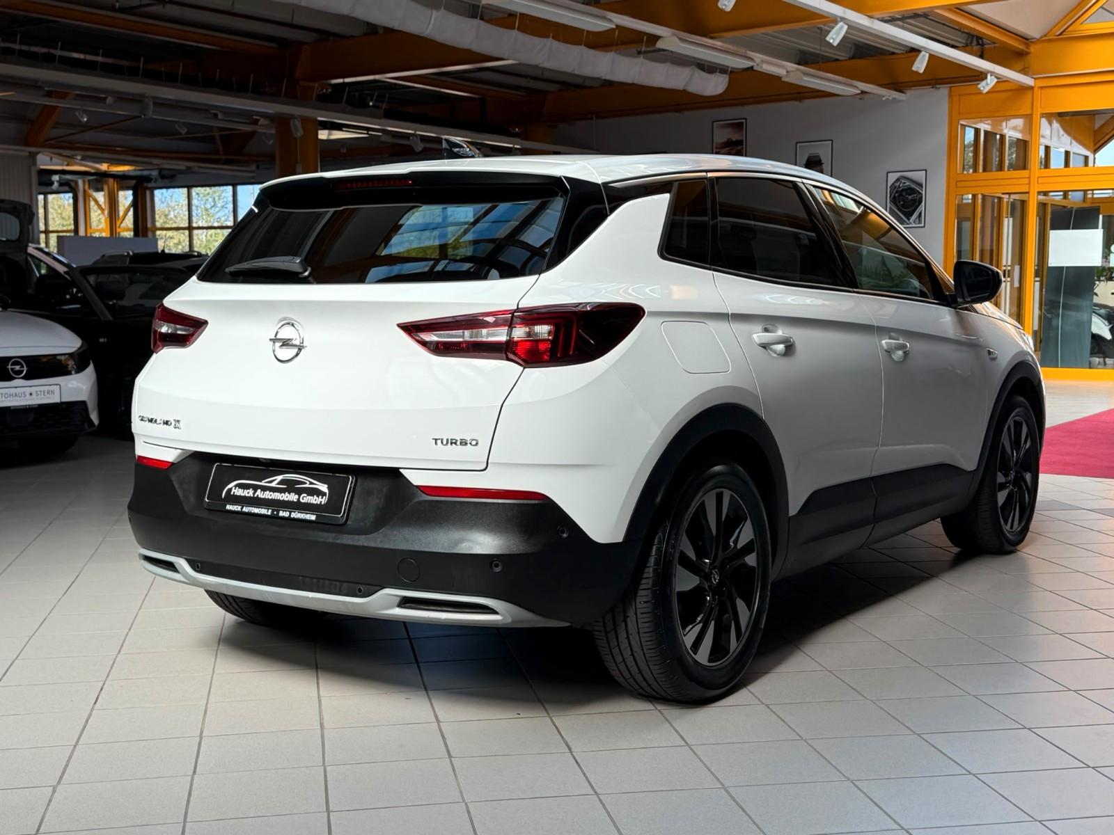 Opel Grandland (X) Innovation Panorama / 360° Kamera