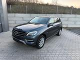 Mercedes-Benz ML 350 BlueTEC 4MATIC | 19% Mwst. - graue Mercedes-Benz ML 350