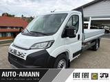 Fiat Ducato Pritschenwagen180 Maxi 35 L4 Pritsch e - Fiat Ducato: L3