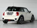 MINI Cooper Works Ext. Pepper LED Leder Chrom PDC - MINI MINI in Ludwigshafen