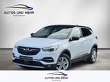 Opel Grandland 120 Jahre* Bi-LED-Scheinwerfer*DAB*RFK - Opel Grandland (X) 120-Jahre