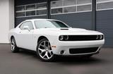 Dodge Challenger 3.6 ALPINE/SHZ/SBL/LHZ/KAMERA/R20 - Dodge aus 2016