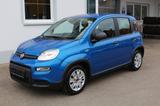 Fiat Panda Pandina Cross Digit. Tachom. Spurass, TOP - Fiat Panda Gebrauchtwagen in Augsburg