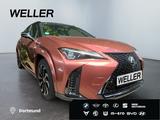 Lexus UX 300h E-FOUR F SPORT *LED*360°*GSD*Levinson*SH - Lexus: Allradantrieb