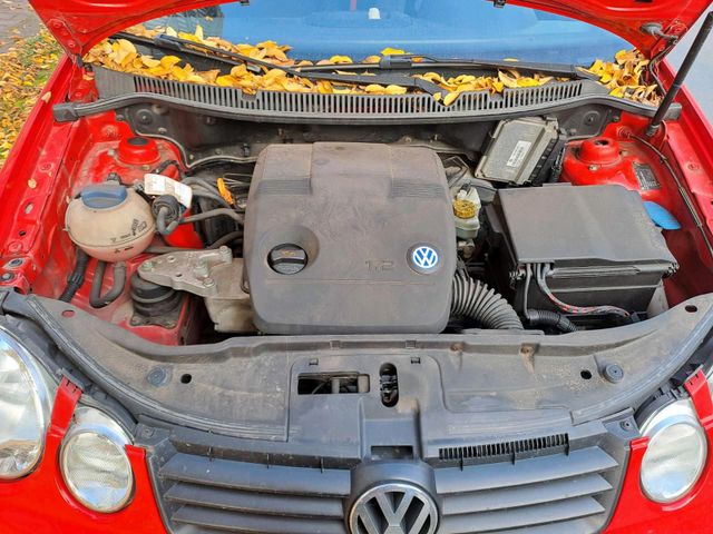 Volkswagen VW Polo 9n ohne TÜV Erstzulassung 2003