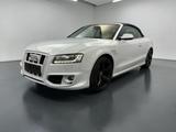 Audi A5 Cabriolet 2.0 TFSI quattro*ABT-UMBAU*TOP - gebrauchte Audi Cabrios