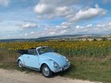 Volkswagen VW Käfer Cabrio BJ 1966 - aus 1966: Cabrio