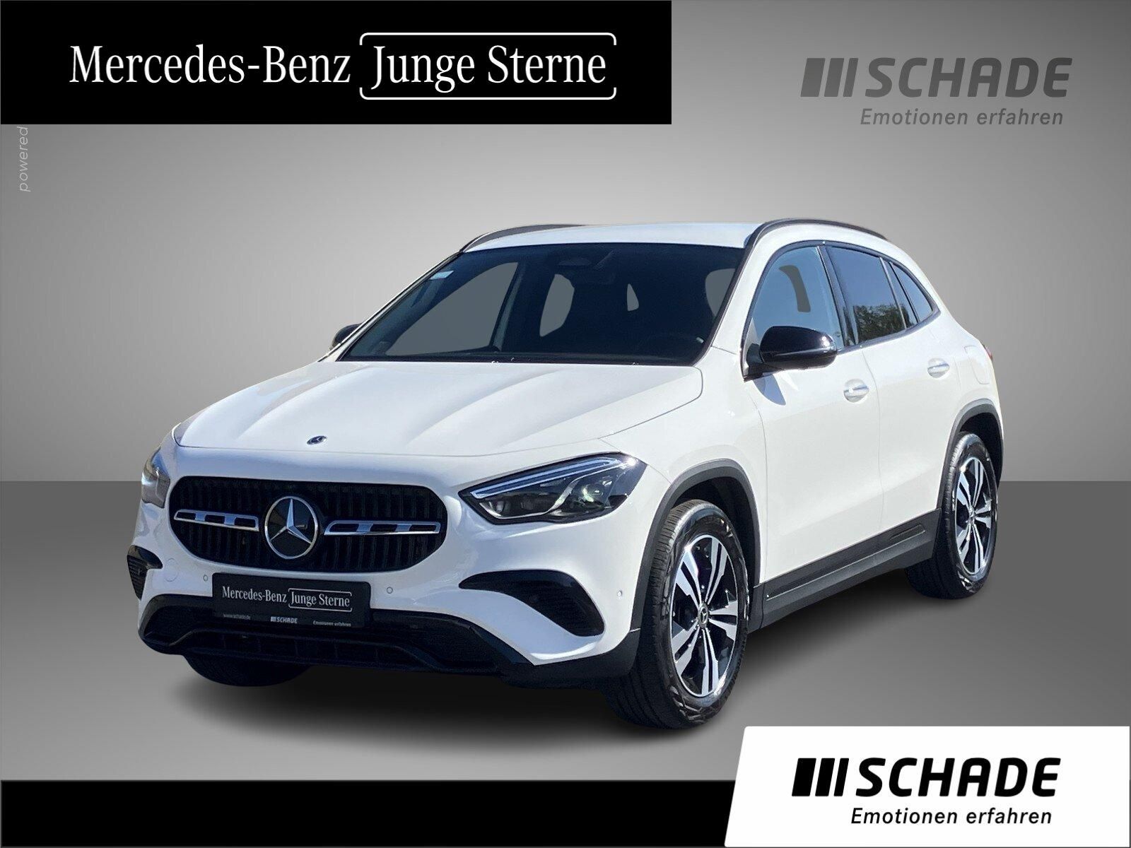 MERCEDES-BENZ GLA 200 d Progressive Multib*Distro*Night*Memory